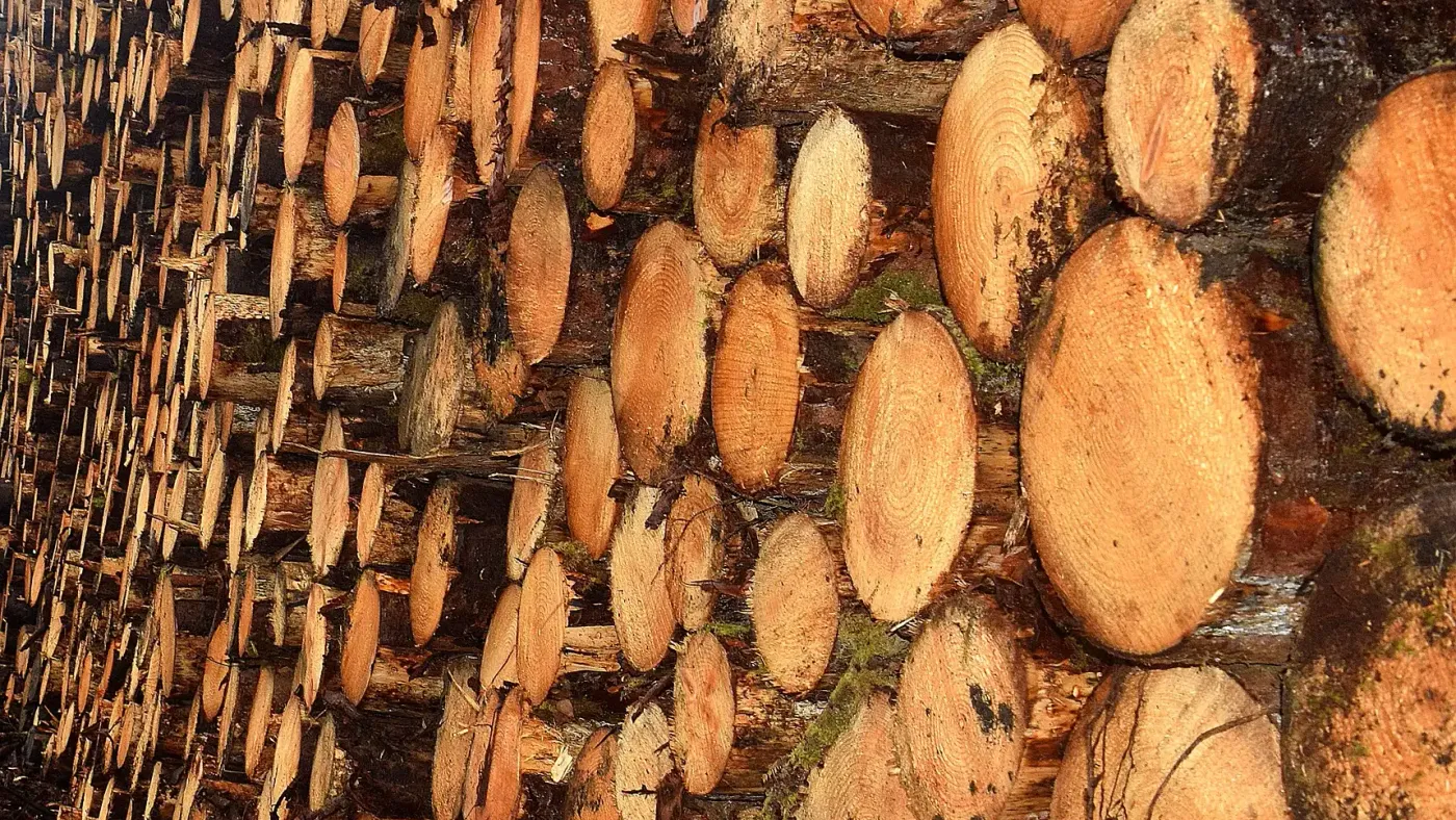Timber yard stocktake