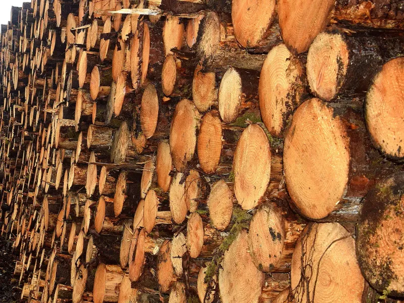 How to run a sawmill stocktake in New Zealand
