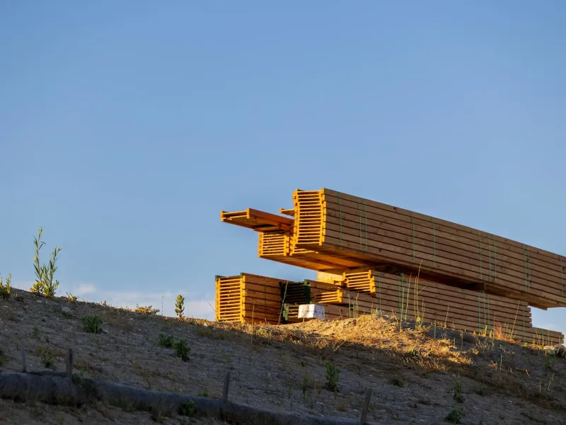 SG6, SG8, SG10, SG12: how NZ sawmills produce and brand structural timber grades