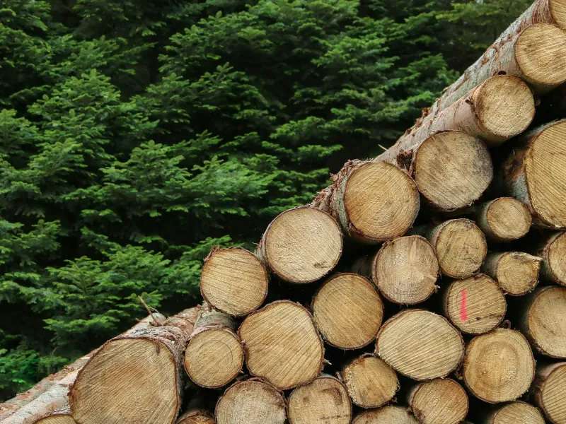 Why sawmills are moving from spreadsheets to real-time inventory systems
