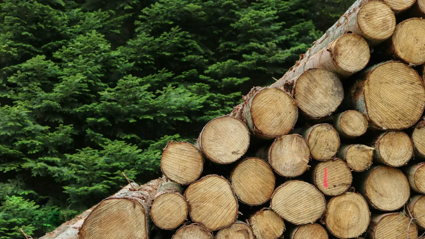Sawmill inventory management