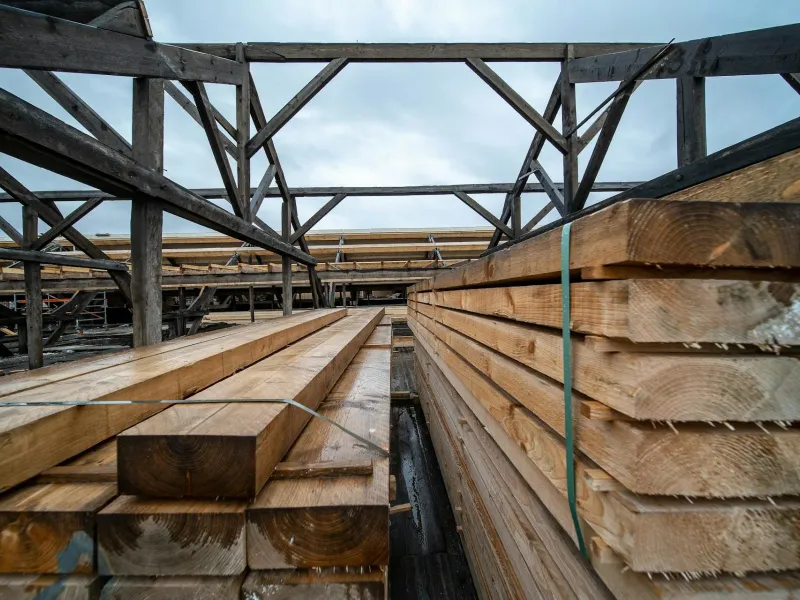 NZ timber treatment hazard classes explained for sawmill operators